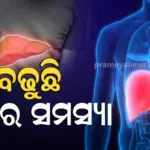 ବିଶ୍ୱସ୍ତରରେ ଦ୍ରୁତ ଗତିରେ ବୃଦ୍ଧି ପାଉଛି ଲିଭର ସମସ୍ୟା, ୨୦୫୦ସୁଦ୍ଧା ୨ ବିଲିୟନ ଲୋକ ହେବେ ପୀଡିତ