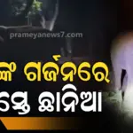 ଦନ୍ତାଙ୍କ ଦାଦାଗିରି : NH ଉପରକୁ ଚାଲି ଆସିଲେ, ଭୟଙ୍କର ଗର୍ଜନ କରି ନଷ୍ଟ କଲେ ଫସଲ