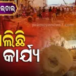 Ratha Yatra 2026 : ୫ମ ଦିନରେ ଆଗେଇ ଚାଲିଛି ରଥ କାମ, ୪୨ଟି ତୁମ୍ବରୁ ୩୦ଟି ନିର୍ମାଣ ଶେଷ