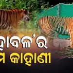 ପ୍ରେମ ପାଇଁ ପାଗଳ ମହାବଳ, ‘ଜିନ୍ନତ’କୁ ଖୋଜି ଖୋଜି ଡେଇଁଲାଣି ୨ ରାଜ୍ୟର ସୀମା