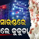 DJ ସାଉଣ୍ଡ ଶୁଣି ପ୍ରାଣ ହରାଇଲେ ୧୪୦ କୁକୁଡା ! ପୋଲିସରେ ଅଭିଯୋଗ କଲେ ଫାର୍ମ୍ ମାଲିକ