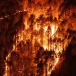 Forest Fires: ଉତ୍ତରାଖଣ୍ଡରେ ଜଙ୍ଗଲ ଜଳୁଛି, ଶୁଖିଲା ପାଗ ସହ ମାନବୀୟ କାରଣ ଦାୟୀ