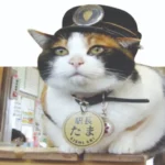 Station master: କିମାଶ୍ଚର୍ଯ୍ୟମ୍‌: ଦୁଇ ଦଶନ୍ଧି ହେଲା ବିଲେଇ ଷ୍ଟେସନ୍‌ ମାଷ୍ଟର୍‌