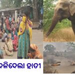 ସାଇକେଲ୍‌ରେ ଘରକୁ ଫେରୁଥିବା ବେଳେ ଯୁବକଙ୍କୁ ଦଳିଦେଲା ହାତୀ, କ୍ଷତିପୂରଣ ଦାବିରେ ଟାୟାର ଜାଳି ଗ୍ରାମବାସୀଙ୍କ ରାସ୍ତାରୋକୋ