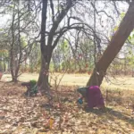 Forest Land: ଜବଦରଖଲରେ ୩୧୫୦ ହେକ୍ଟର ଜଙ୍ଗଲଜମି, ରାଉରକେଲା ଆର୍‌ସିସିଏଫ୍‌ ଅନ୍ତର୍ଗତ ୫ ବନଖଣ୍ଡରେ ସଙ୍ଗିନ ସ୍ଥିତି