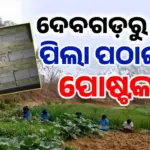 Farming: ବିଦ୍ୟାଳୟରେ କୃଷି: ଏଣିକି ପାଠ ସହ ପିଲା ପଢ଼ିବେ ଚାଷ କଥା, ସପ୍ତାହରେ ଗୋଟେ କ୍ଲାସ କୃଷି ପାଇଁ ସମର୍ପିତ…