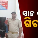 Younger Brother Arrested: ସାନଭାଇର ଟାଙ୍ଗିଆ ଚୋଟରେ ବଡ଼ଭାଇର ମୃତ୍ୟୁ ଘଟଣା, ଅଭିଯୁକ୍ତ ଗିରଫ