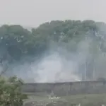 Smoke: ରାଇରଂଗପୁରବାସୀଙ୍କୁ ଚର୍ମରୋଗ ଭୟ, ବିଷାକ୍ତ ଧୂଆଁ ବଢ଼ାଉଛି ଚିନ୍ତା