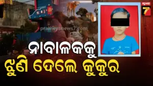 Ganjam News : ୯ ବର୍ଷର ନାବାଳକକୁ ଝୁଣି ଦେଲେ କୁକୁର, ମୁଣ୍ଡରୁ ଖପୁରୀ କାଢି ଦେଲେ …