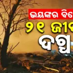 China’s Hunan: ଚୀନ୍‌ରେ ବାଣ କାରଖାନାରେ ଭୟଙ୍କର ବିସ୍ଫୋରଣ: ୨୧ଜଣ ଜୀବନ୍ତ ଦଗ୍ଧ, ୬୧ ଆହତ