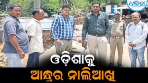ଓଡ଼ିଶା ସର୍ଭେ ନମ୍ବର ଉପରେ ଚୂନ ବୋଳି ନିଜ ସର୍ଭେ ନଂ. ଲେଖିଲା ଆନ୍ଧ୍ର: ଜବରଦସ୍ତ ଅନୁପ୍ରବେଶ