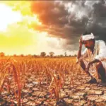 El Nino: କୃଷି ପାଇଁ ଏଲ୍‌ନିନୋ ବିପଦ: ଧାନ ଓ ମକା ଚାଷ ସଙ୍କଟରେ