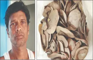 The forest department: ଧରାପଡ଼ିଲା ବଜ୍ରକାପ୍ତା ରୢାକେଟ୍‌: ୧ କିଲୋ କାତି ଜବତ