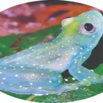 Glass frog: ଗ୍ଲାସ୍‌ ଫ୍ରଗ୍‌