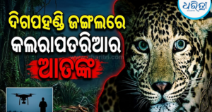 ଦିନରେ ଲୁଚୁଛି, ରାତିରେ ବୁଲୁଛି: ରତନେଇ ପାହାଡ଼ ଖୋଲରେ ଡେରା ପକାଇଛି କଲରାପତରିଆ,ଡ୍ରୋନ୍ କ୍ୟାମେରାରେ…